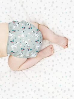 Miosolo Couche Lavable Tout-en-un BAMBINO MIO Doux Citron - Bambino Mio -Bébé Confort Promos Boutique miosolo couche lavable tout en un bambino mio 5